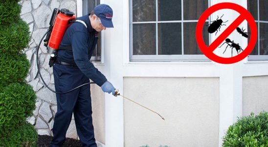 Ovacık Böcek ve Haşere İlaçlama böcek ilaçlama ve haşere kontrolü — ilaclama-tr.com